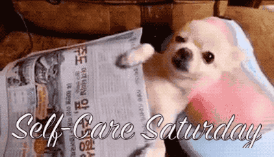 tiny dog holding newspaper and getting a massage. caption is Self Care Saturday.